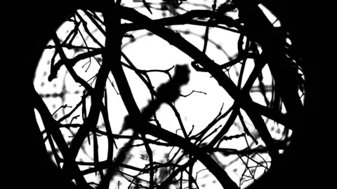 Obra de Héctor Sánchez.Fotografía digital de la cara oeste del reloj del Big Ben de Londres.