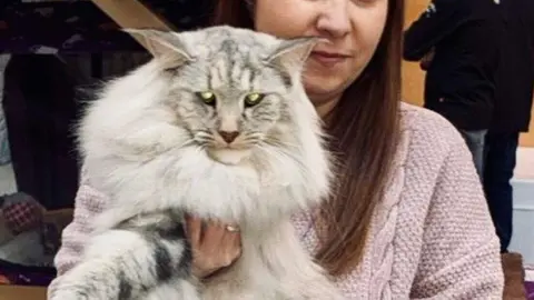 Exposición internacional felina San Andrés del Rabanedo.