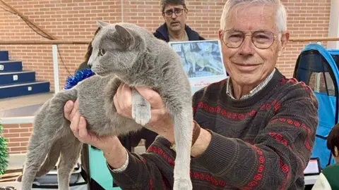Exposición internacional felina San Andrés del Rabanedo.