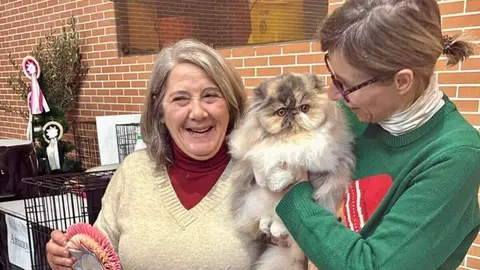 Exposición internacional felina San Andrés del Rabanedo.