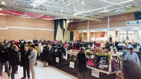 Exposición internacional felina San Andrés del Rabanedo.