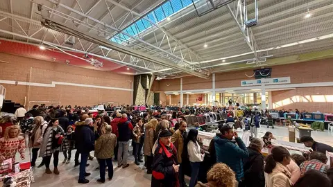Exposición internacional felina San Andrés del Rabanedo.