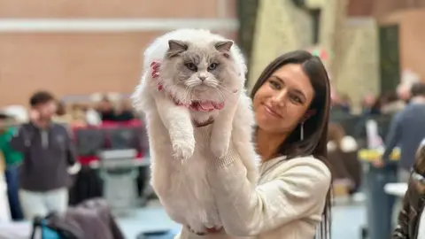 Exposición internacional felina San Andrés del Rabanedo.