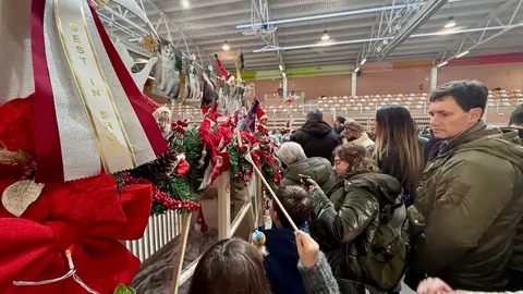 Exposición internacional felina San Andrés del Rabanedo.
