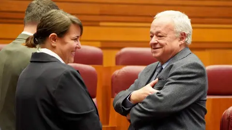 El presidente de la Junta, Alfonso Fernández Mañueco, aseguró hoy que llega al final del mandato con los deberes hechos en un pleno en el que la oposición de forma coral le afeó su gestión. Fotos: Leticia Pérez