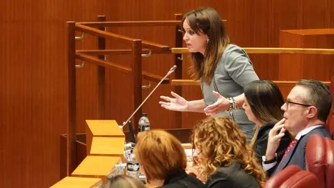 El presidente de la Junta, Alfonso Fernández Mañueco, aseguró hoy que llega al final del mandato con los deberes hechos en un pleno en el que la oposición de forma coral le afeó su gestión. Fotos: Leticia Pérez