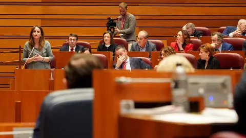 El presidente de la Junta, Alfonso Fernández Mañueco, aseguró hoy que llega al final del mandato con los deberes hechos en un pleno en el que la oposición de forma coral le afeó su gestión. Fotos: Leticia Pérez