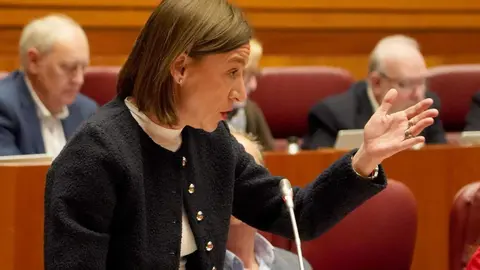 El presidente de la Junta, Alfonso Fernández Mañueco, aseguró hoy que llega al final del mandato con los deberes hechos en un pleno en el que la oposición de forma coral le afeó su gestión. Fotos: Leticia Pérez