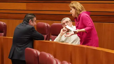 El presidente de la Junta, Alfonso Fernández Mañueco, aseguró hoy que llega al final del mandato con los deberes hechos en un pleno en el que la oposición de forma coral le afeó su gestión. Fotos: Leticia Pérez