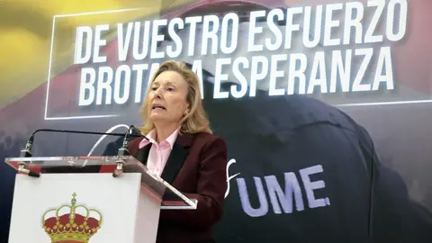 La secretaria de Estado de Defensa, Amparo Valcarce; el Delegado del Gobierno, Nicanor Sen y el presidente de la Diputación de León ,Gerardo Álvarez Courel asisten al homenaje a la Unidad Militar de Emergencias. Foto: Peio García