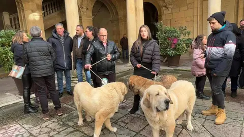 El patio del Palacio de los Guzmanes, sede de la Diputación de León, ha acogido este sábado la entrega de premios del Campeonato Provincial de Mastín. Foto: DipuLeón