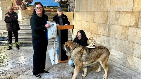 El patio del Palacio de los Guzmanes, sede de la Diputación de León, ha acogido este sábado la entrega de premios del Campeonato Provincial de Mastín. Foto: DipuLeón