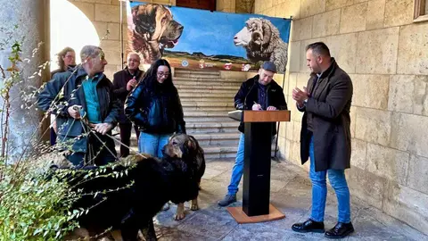 El patio del Palacio de los Guzmanes, sede de la Diputación de León, ha acogido este sábado la entrega de premios del Campeonato Provincial de Mastín. Foto: DipuLeón