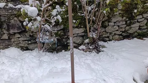 La nieve ha caído con intensidad este domingo en Laciana.