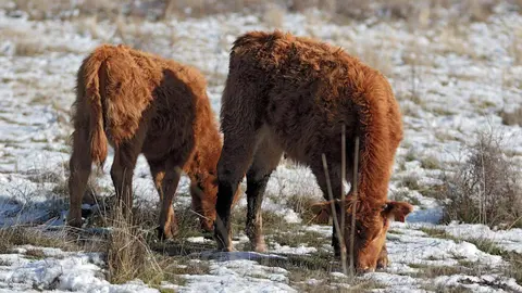 La nieve llega a las montañas de León. Foto: Peio García