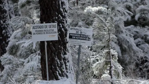 La nieve llega a las montañas de León. Foto: Peio García