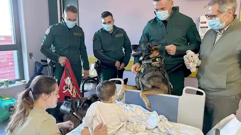 La Asociación Española Contra el Cáncer (AECC) en León y la Guardia Civil protagonizaron este lunes una visita cargada de emoción en el Complejo Asistencial Universitario de León (CAULE), donde compartieron una mañana diferente con los niños ingresados en el área de Pediatría, con el objetivo de ofrecerles compañía, alegría y un mensaje de ilusión en plenas fechas navideñas.