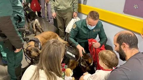 La Asociación Española Contra el Cáncer (AECC) en León y la Guardia Civil protagonizaron este lunes una visita cargada de emoción en el Complejo Asistencial Universitario de León (CAULE), donde compartieron una mañana diferente con los niños ingresados en el área de Pediatría, con el objetivo de ofrecerles compañía, alegría y un mensaje de ilusión en plenas fechas navideñas.