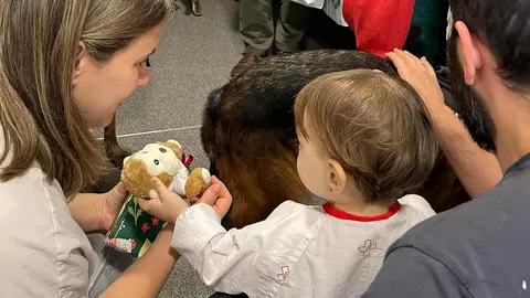 La Asociación Española Contra el Cáncer (AECC) en León y la Guardia Civil protagonizaron este lunes una visita cargada de emoción en el Complejo Asistencial Universitario de León (CAULE), donde compartieron una mañana diferente con los niños ingresados en el área de Pediatría, con el objetivo de ofrecerles compañía, alegría y un mensaje de ilusión en plenas fechas navideñas.