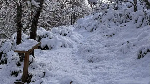 La Ruta de la Mitología Leonesa en Carande se transforma en un paisaje mágico bajo la nieve, donde la historia y la naturaleza se entrelazan en cada sendero.