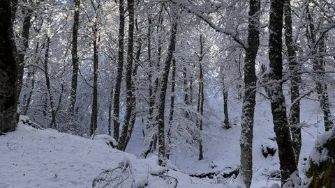 La Ruta de la Mitología Leonesa en Carande se transforma en un paisaje mágico bajo la nieve, donde la historia y la naturaleza se entrelazan en cada sendero.