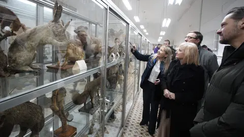 La consejera de Industria, Comercio y Empleo, Leticia García, durante su visita al Museo de Ciencias Naturales de Villafranca del Bierzo (León), para informar de la resolución definitiva del Programa Mixto de Empleo y Formación del próximo año. Foto: César Sánchez.