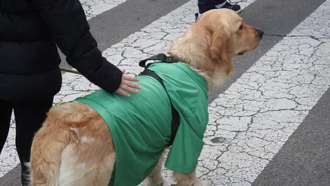 La San Silvestre de Villaquilambre reúne a casi 600 corredores en una despedida de año multitudinaria.