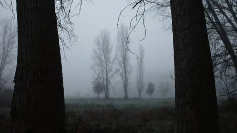Intensa niebla en el Bierzo en las carreteras del Bierzo. Foto: César Sánchez.