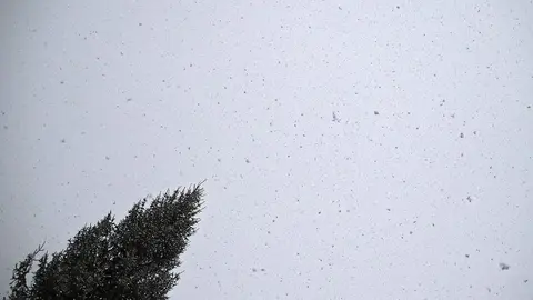 Nevada en la capital leonesa a primera hora del domingo. Foto: Peio García