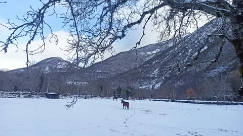 Las nevadas de las últimas horas dejan imágenes únicas en Alto Sil y Laciana mientras la DGT pide máxima precaución en carreteras de León, Burgos y Palencia durante la operación retorno de Reyes