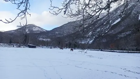 Las nevadas de las últimas horas dejan imágenes únicas en Alto Sil y Laciana mientras la DGT pide máxima precaución en carreteras de León, Burgos y Palencia durante la operación retorno de Reyes