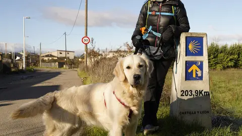 La actriz, cómica y presentadora abulense, Sara Escudero, junto a su perra Phoebe, a su paso por el Bierzo realizando el Camino de Santiago. Foto: César Sánchez.