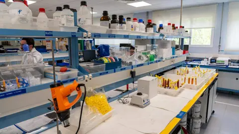 El consejero de Economía y Hacienda y portavoz, Carlos Fernández Carriedo, visita las instalaciones de la empresa biofarmacéutica Curia Spain, acompañado del director José María Martínez. Fotos: Eduardo Margareto