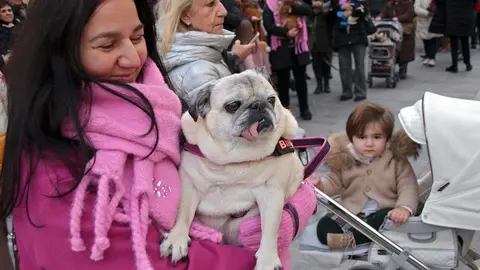 San Antón reúne a decenas de mascotas en León para la tradicional bendición de animales. Foto: Peio García.