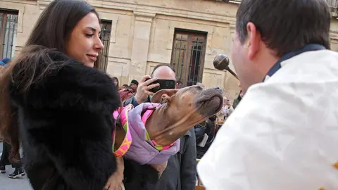 San Antón reúne a decenas de mascotas en León para la tradicional bendición de animales. Foto: Peio García.
