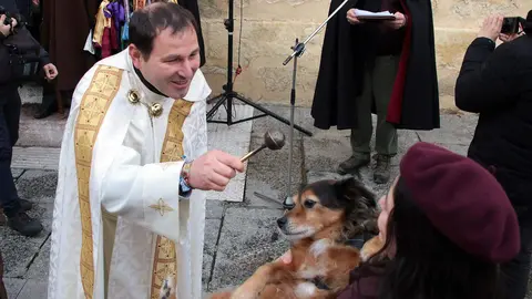 San Antón reúne a decenas de mascotas en León para la tradicional bendición de animales. Foto: Peio García.