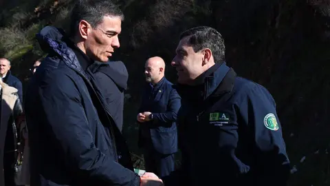 Ante la magnitud de la tragedia, el presidente del Gobierno, Pedro Sánchez, anunció desde Adamuz la declaración de tres días de luto oficial en todo el país, una medida de carácter nacional que simboliza el duelo colectivo y el acompañamiento institucional a las víctimas y sus familias.