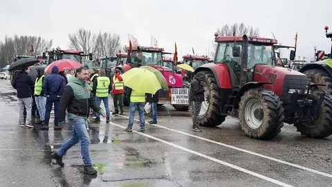 La Plataforma de Defensa del Campo Leonés (Decaleón) convoca una tractorada en contra de Mercosur, los recortes de la PAC y la competencia desleal. Foto: Campillo