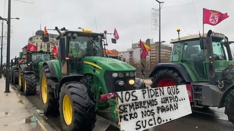 La Plataforma de Defensa del Campo Leonés (Decaleón) convoca una tractorada en contra de Mercosur, los recortes de la PAC y la competencia desleal. Foto: A.F.Reca