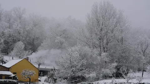 Temporal de nieve en El Bierzo. fotos: César Sánchez