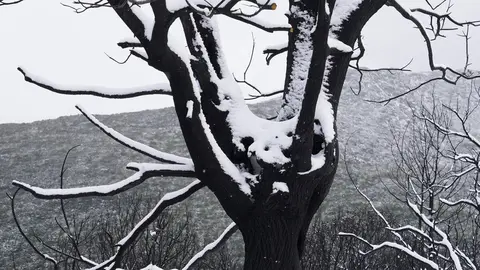 Temporal de nieve en el paraje natural de Las Médulas (León). Foto: César Sánchez.