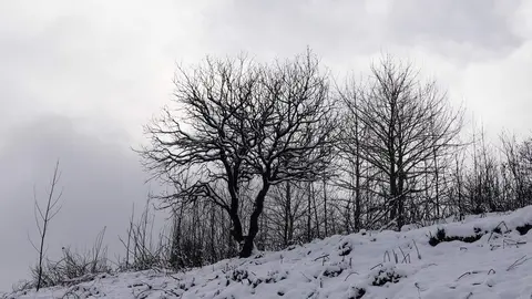 Temporal de nieve en el paraje natural de Las Médulas (León). Foto: César Sánchez.