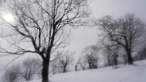 Temporal de nieve en el paraje natural de Las Médulas (León). Foto: César Sánchez.