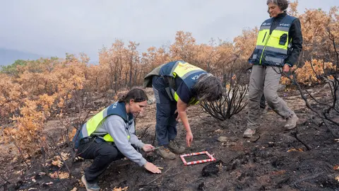 El CSIC documenta los daños ambientales y geológicos clave para la recuperación postincendio de Las Médulas. Foto: CSIC.