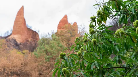 El CSIC documenta los daños ambientales y geológicos clave para la recuperación postincendio de Las Médulas. Foto: CSIC.