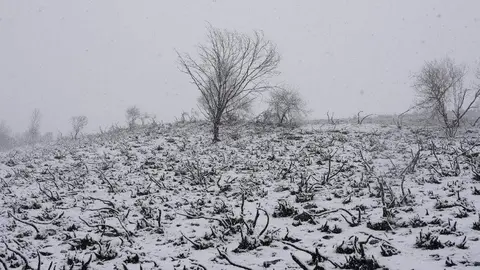 Nieve en la localidad de El Castro, limítrofe con Galicia. Fotos: César Sánchez