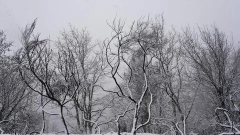 Nieve en la localidad de El Castro, limítrofe con Galicia. Fotos: César Sánchez