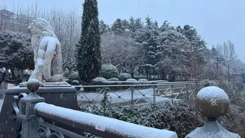 Imagen del Puente de los Leones en León capital. Foto: Silvia García