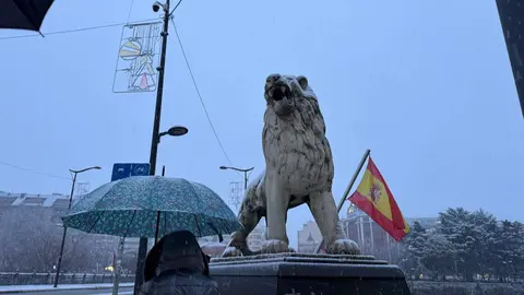 Imagen del Puente de los Leones en León capital. Foto: Silvia García.