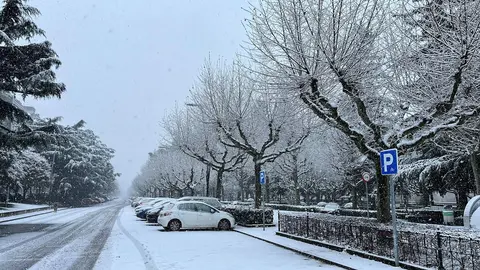 La nieve cae sin descanso desde primera hora de la mañana en la capital, complica seriamente la circulación urbana y obliga a mantener activado un amplio dispositivo municipal, mientras la provincia sigue bajo avisos y restricciones al tráfico. Fotos: Heraldo de León